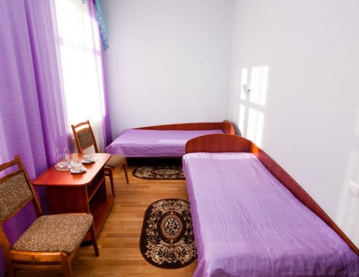 Эконом 2-местный (twin, корпус №1, категория 2) - Санаторий «Криница» Ждановичи