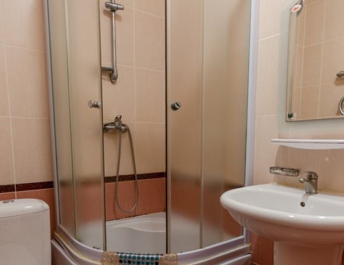 Эконом 2-местный (twin, корпус №1, категория 2) - Санаторий «Криница» Ждановичи